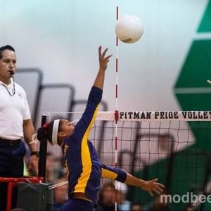 Meet your Posher, Jadyn